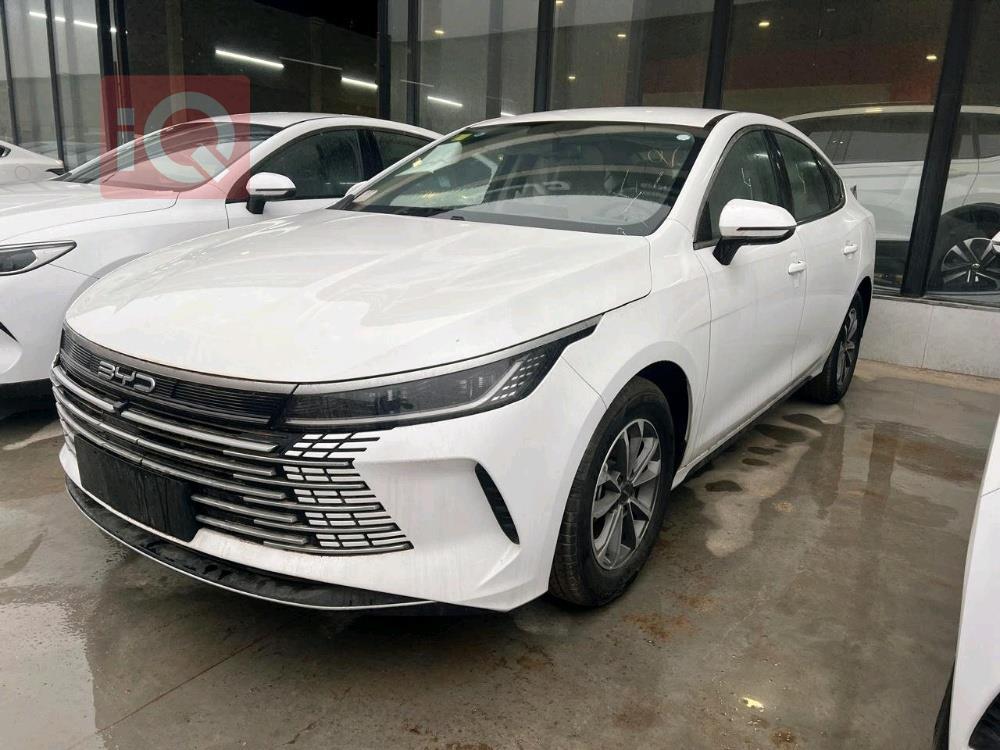 بي واي دي ديستروير 05